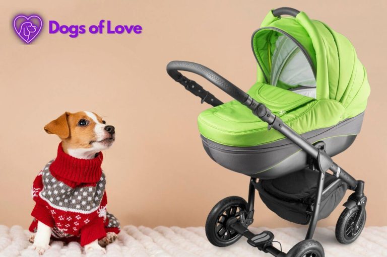 How do I get my dog to use the dog stroller