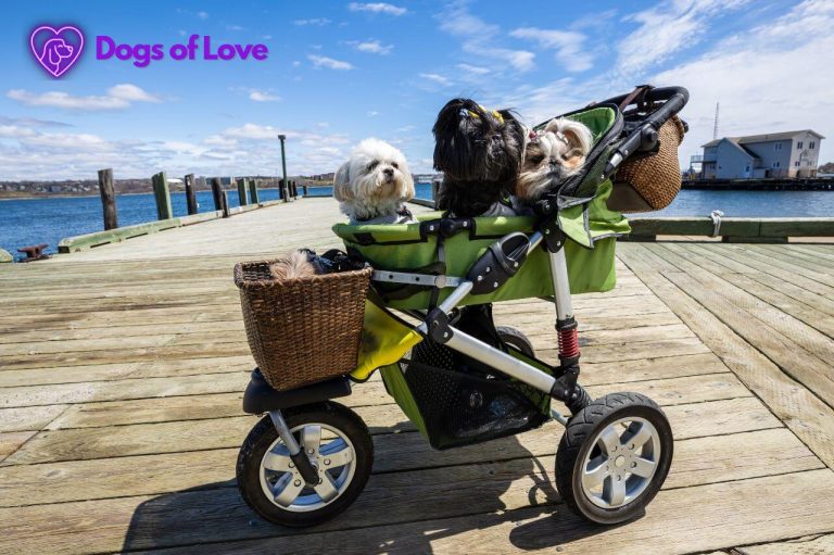 Which wheels are used for a dog stroller