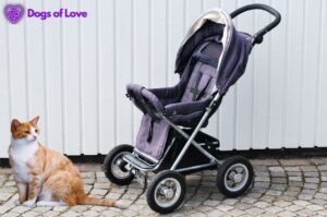 Are pet strollers good for cats