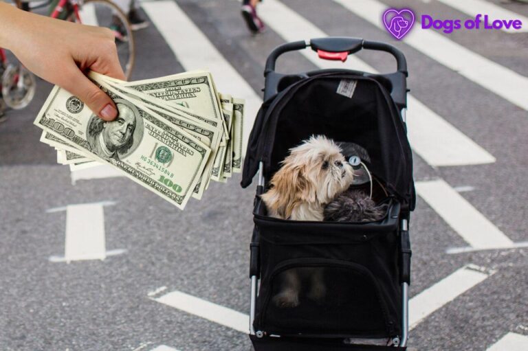 How much does a dog stroller cost