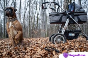 How to walk a dog and push a stroller