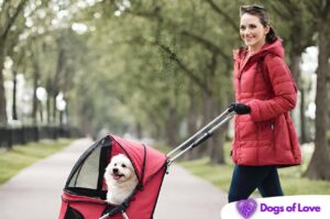 Can I take an unvaccinated puppy in a stroller