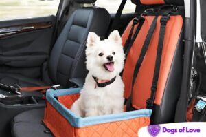 How to install a dog car seat