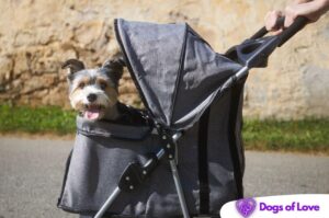 What is the weight limit for a dog stroller