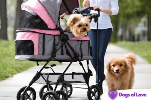 What should I look for in a dog stroller