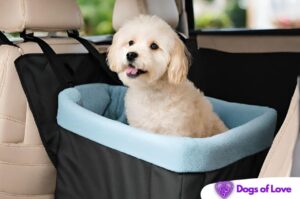 Which is the safest dog car seat