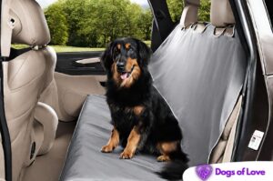 Are dog seat covers worth it