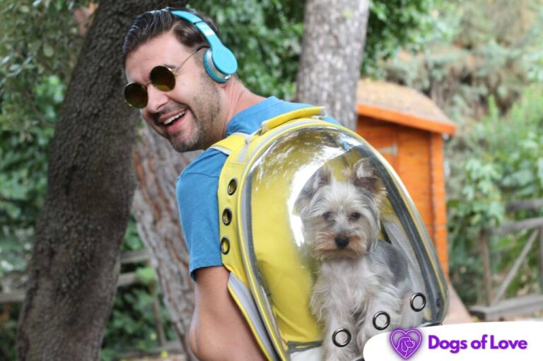 How long can a dog stay in a backpack?