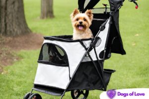 What type of dog stroller do I need